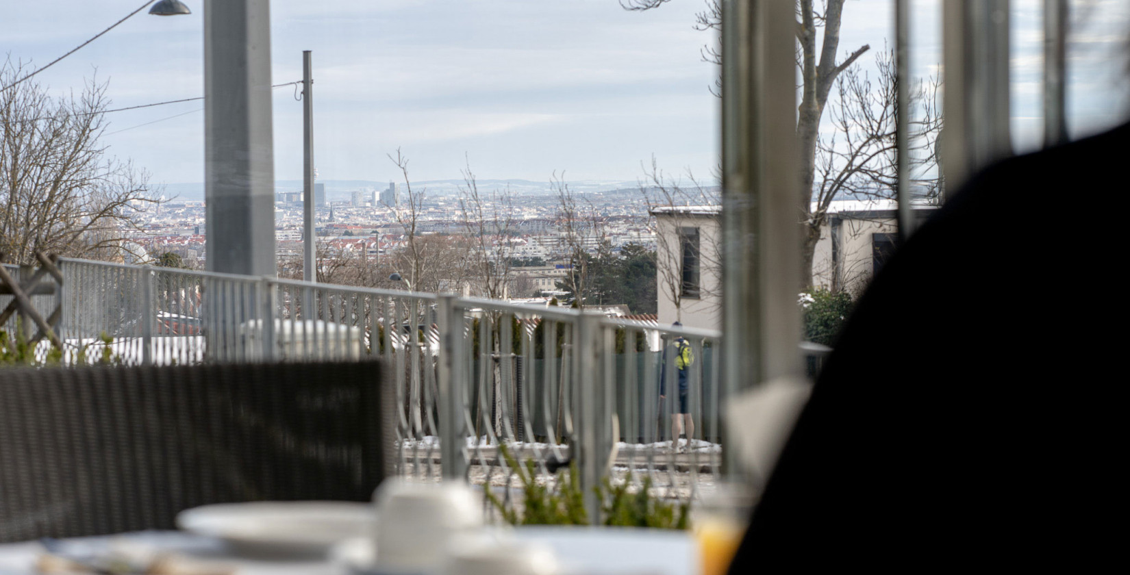 View of Vienna from the breakfast room at Bio-Hotel Schani Wienblick