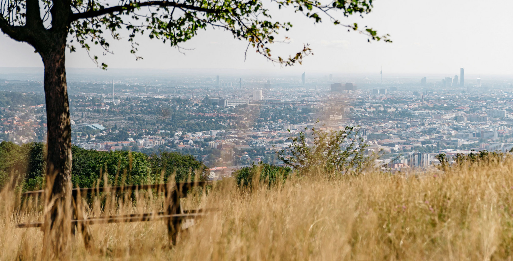 View of Vienna from Lainzer Tiergarten