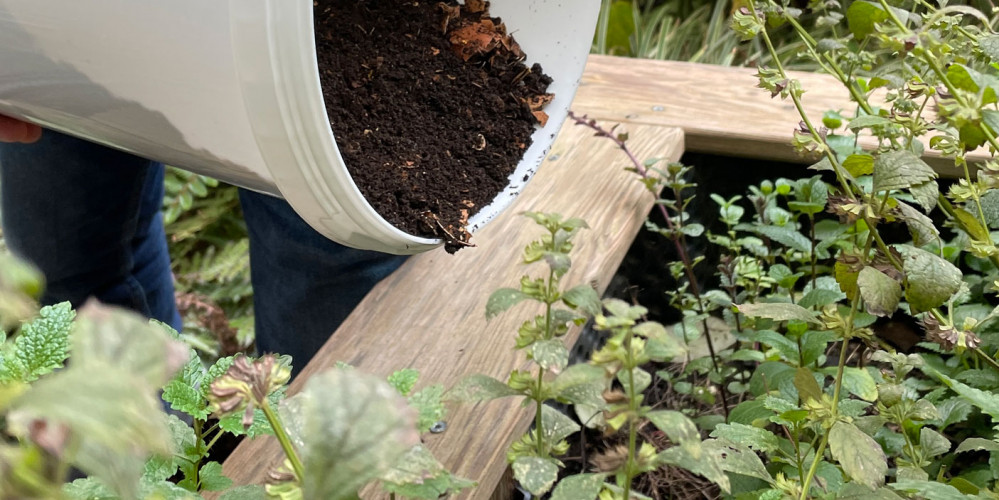 Garten düngen im Hotel Schani Wien