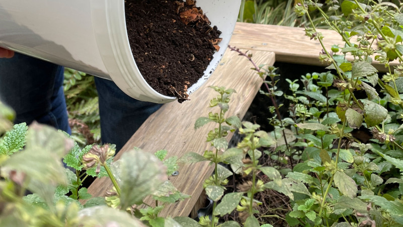 Garten düngen im Hotel Schani Wien