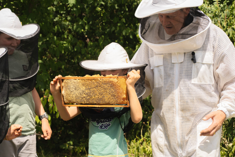 Der Imker zeigt Kindern wie die Honigernte funktioniert
