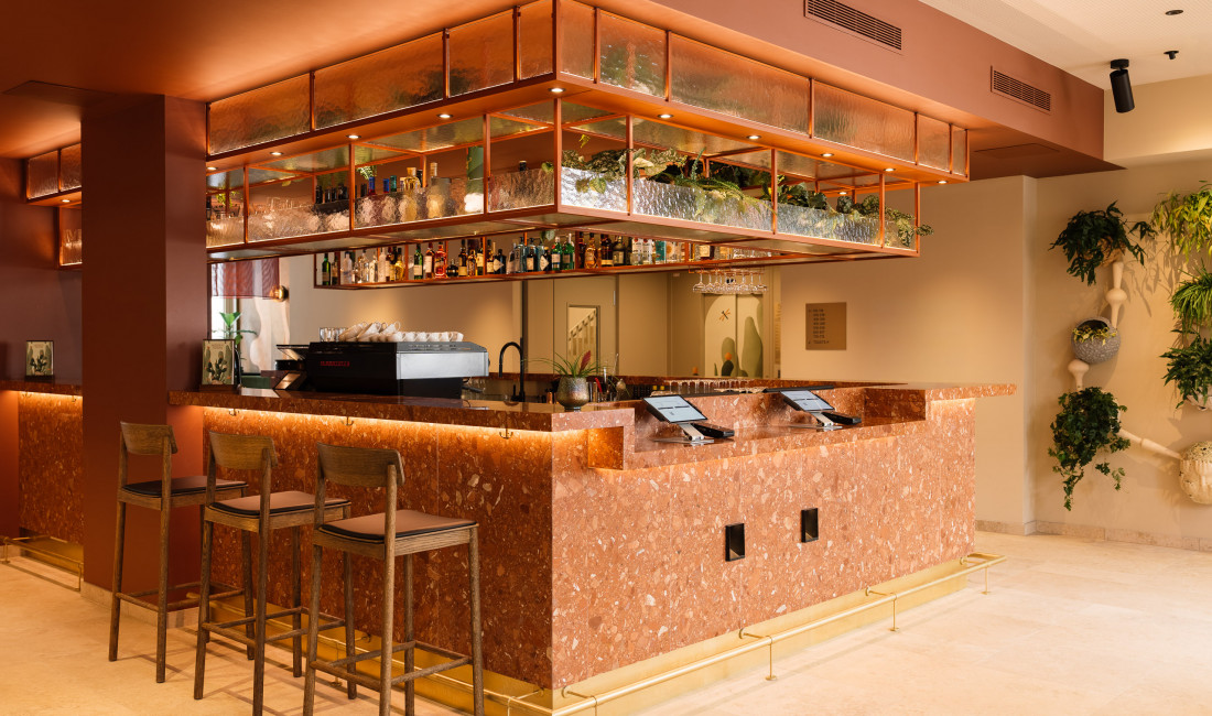 Reception at Hotel Schani City