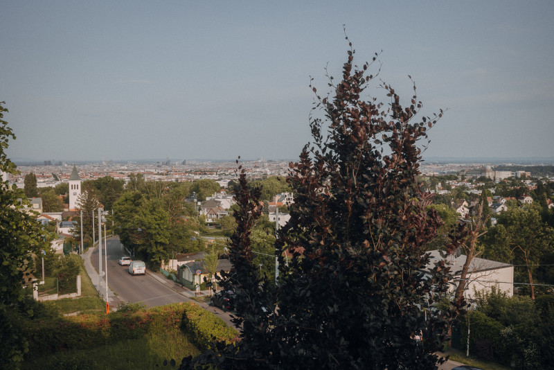 Ausblick Bio-Hotel Schani Wienblick heute