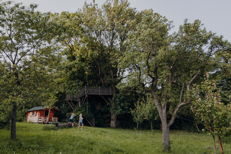Garten mit Baumhaus des Bio-Hotel Schani Wienblick