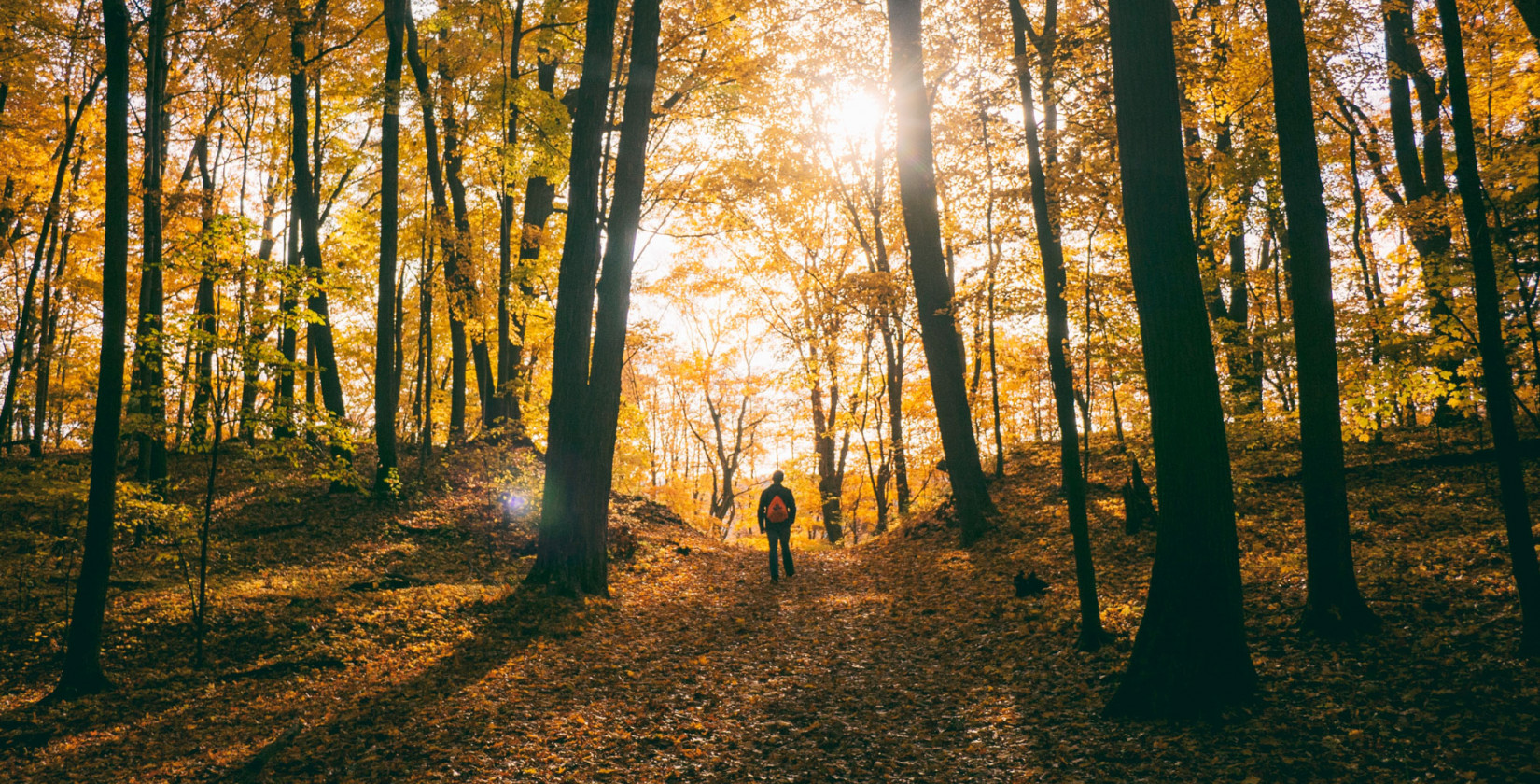 Man hiking through a forest in autumn