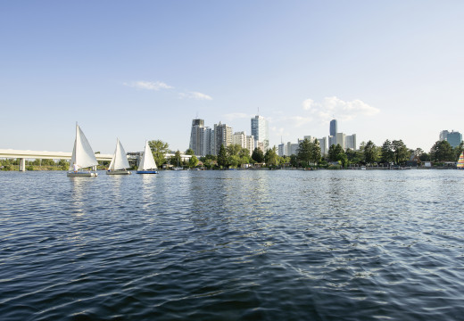 Segelboote auf der Alten Donau in Wien