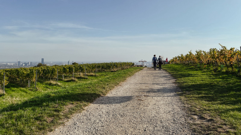 View of Vienna from a hill