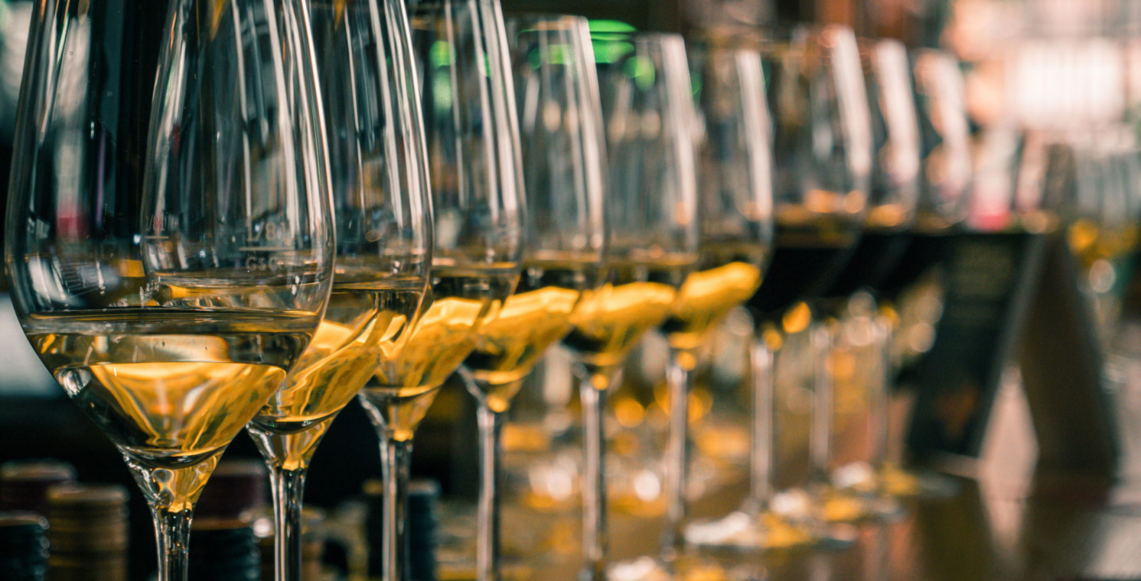 Numerous lined up wine glasses filled with white wine