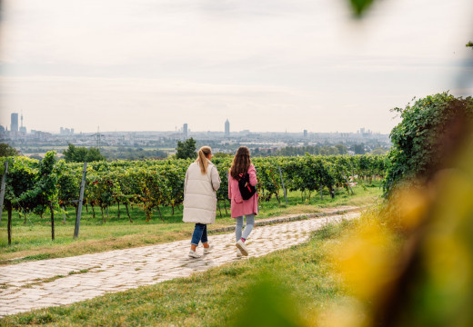 Zwei Frauen spazieren durch Weinberge in Wien