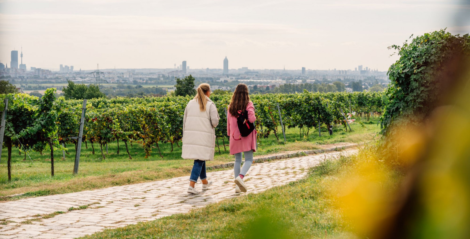 Zwei Frauen spazieren durch Weinberge in Wien