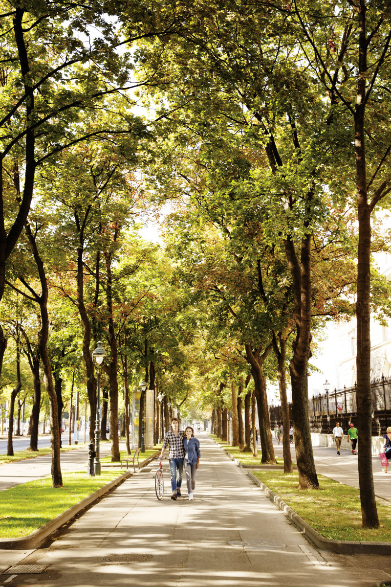 Couple walking together between an avenue with tall trees 